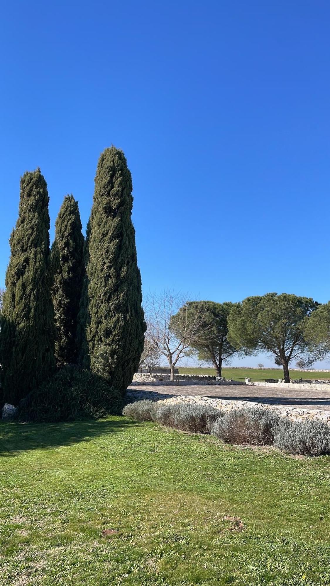 Masseria La Mandra نوتشي المظهر الخارجي الصورة